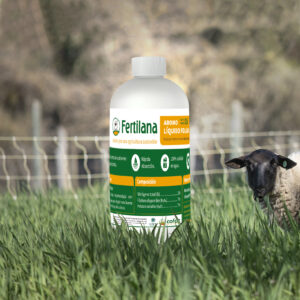 Envase de Fertilana Abono Líquido Foliar, ideal para agricultura sostenible, con nutrientes como nitrógeno, fósforo y potasio, junto a una oveja pastando en un campo verde.